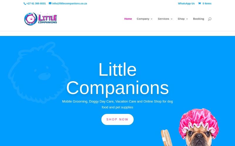 Website we built for Little Companions